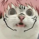 SukunaCatRawr