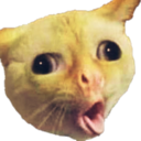 :EWgggothgirlhaven: