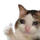 SadOK
