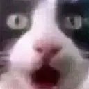Shock