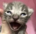 MEOEEWWWEHIER