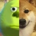 wazdoge