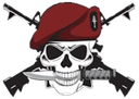 Skull_general Discord emoji