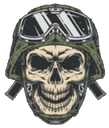 Skull_pilot Discord emoji