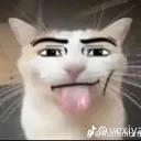 Robloxcat Discord Emoji