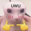 UwU_memes_vibistan Discord Emoji