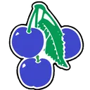 cherry