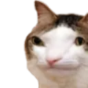 schmarf