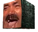 borgkewb