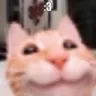 kissa3