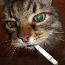 cigaratte