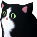 catlook