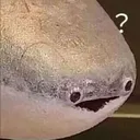 que