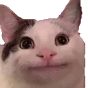 6091aliencat Discord Emoji