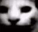 doom