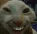 hehelol