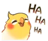 birb_laugh