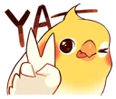 birb_peace