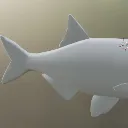 fishbody