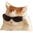 gusstr1Cat Discord Emoji