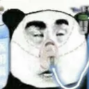 LifeSupport LifeSupport
