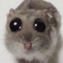 ndlilguy Discord emoji