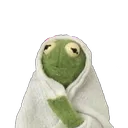 kermitblanket
