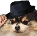 mlady