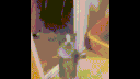 UntitledvideoMadewithClipchamp4