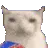 cat_munch