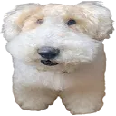 mogusog