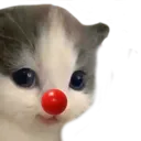 aeHehesus aeHehesus