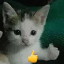 oke
