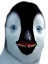 feeet