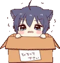 nekoboybox