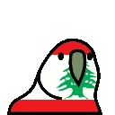 lebanonparrot