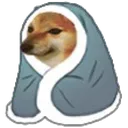 CozyDoge Discord Emoji
