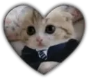 saoriheart