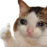 CatOk