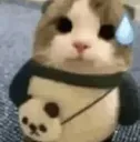 sweatcat