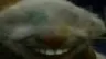 Ero_Wtfxdblind