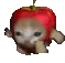 applecatrunapplecat