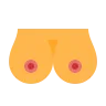 boobs