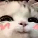 blesh