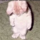 sad