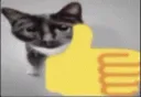 thumbs