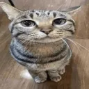 thighchecker