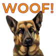 fl0sk8Dog