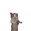 catto
