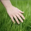 touchgrass